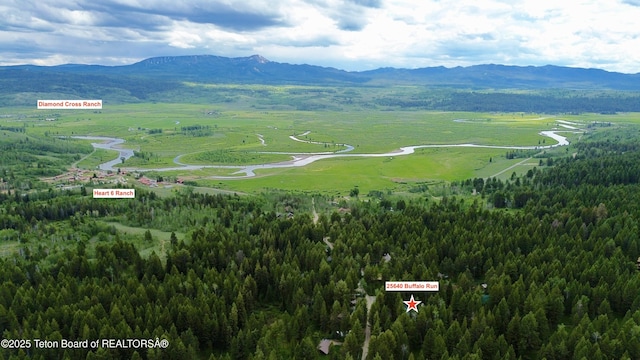 25640 Buffalo Run, Moran, WY 83013 - view of property location with a mountainous background
