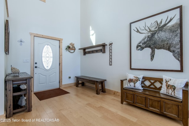 4535 Roxanne St, Tetonia, ID 83452 - entrance foyer with light wood-type flooring and baseboards
