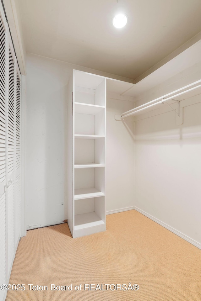 walk in closet featuring carpet floors