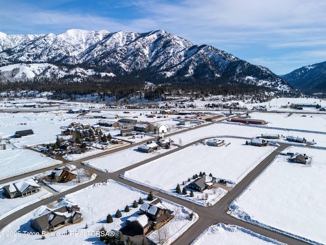 mountain view