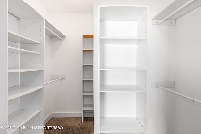 walk in closet featuring carpet flooring