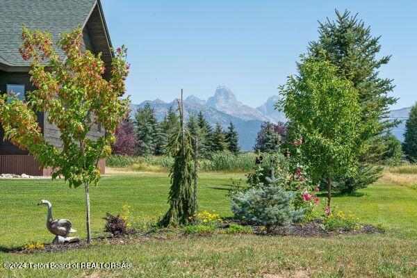 609 Leigh Meadows Ln, Tetonia, ID 83452 - photo 8