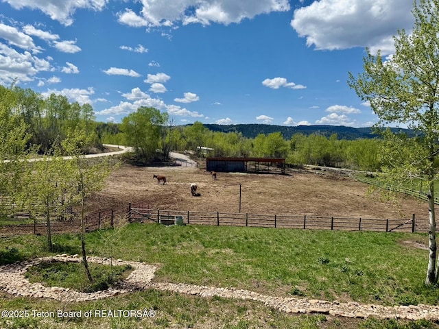 440 Strawberry Hills Dr, Bedford, WY 83112 - photo 14
