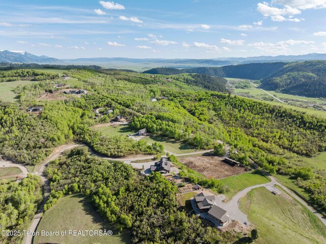 440 Strawberry Hills Dr, Bedford, WY 83112 - photo 74
