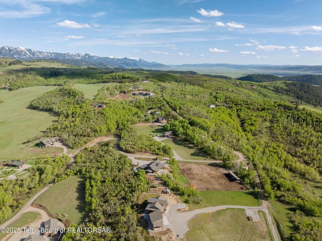 440 Strawberry Hills Dr, Bedford, WY 83112 - photo 75