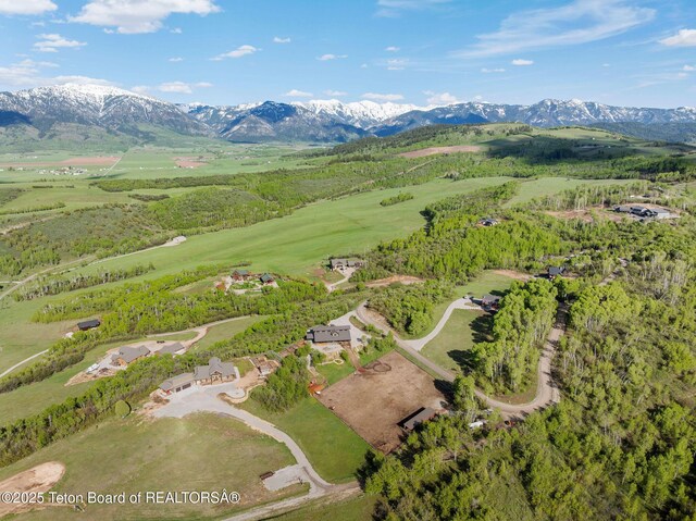 440 Strawberry Hills Dr, Bedford, WY 83112 - photo 76