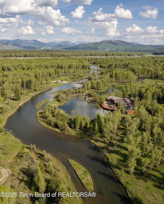 1525 S Thunder Rd, Wilson, WY 83014 - view of property location with a forest and a water and mountain view
