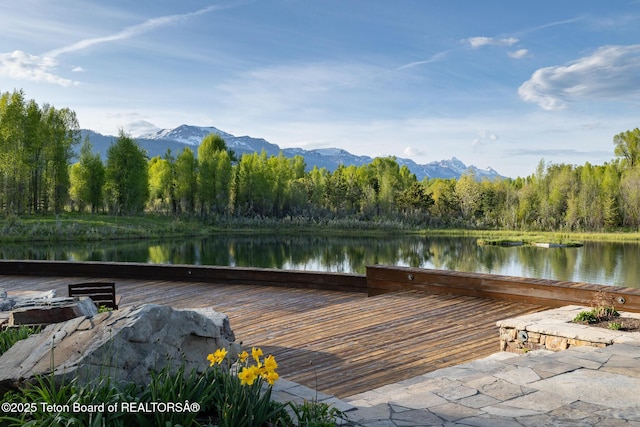 1525 S Thunder Rd, Wilson, WY 83014 - dock area featuring a water and mountain view and a view of trees