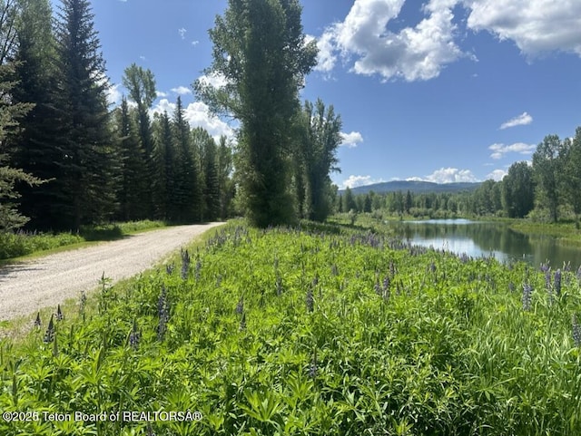 1525 S Thunder Rd, Wilson, WY 83014 - view of dirt / gravel road with a view of trees and a water view