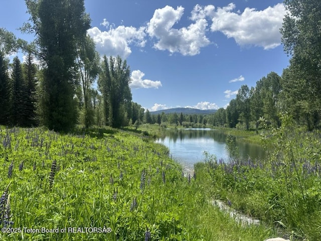 1525 S Thunder Rd, Wilson, WY 83014 - water view with a heavily wooded area