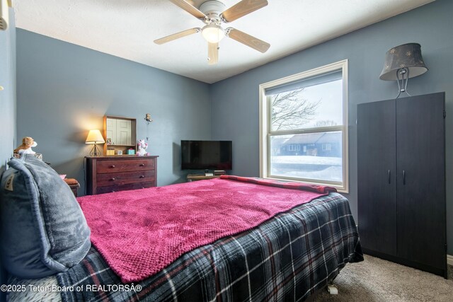 8450 Red Hawk Trl, Victor, ID 83455 - photo 26