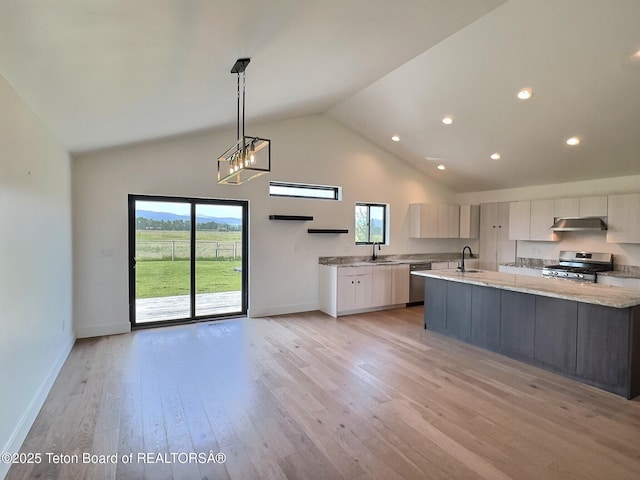 1714 River Meadows Dr, Victor, ID 83455 - kitchen with under cabinet range hood, stainless steel appliances, modern cabinets, light wood finished floors, and an island with sink