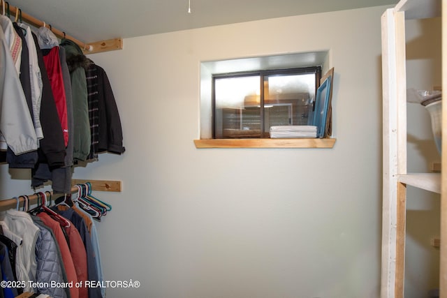 view of walk in closet