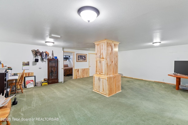 finished basement featuring a textured ceiling and carpet flooring