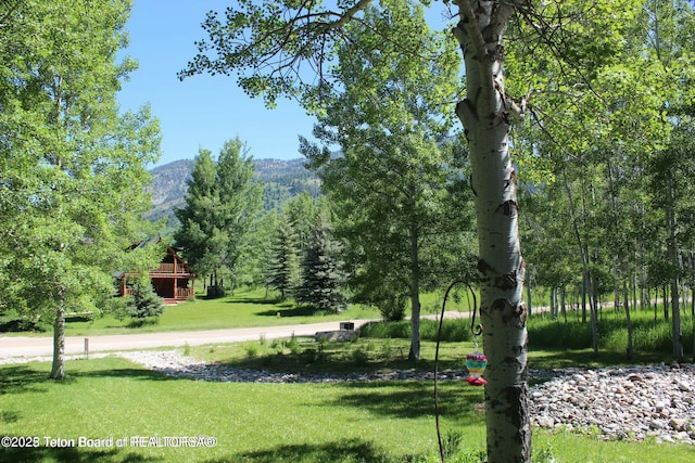 view of community featuring a forest view, a mountain view, and a lawn
