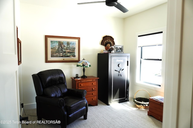 825 Mccoy Dr, Pinedale, WY 82941 - living area with carpet flooring and a ceiling fan