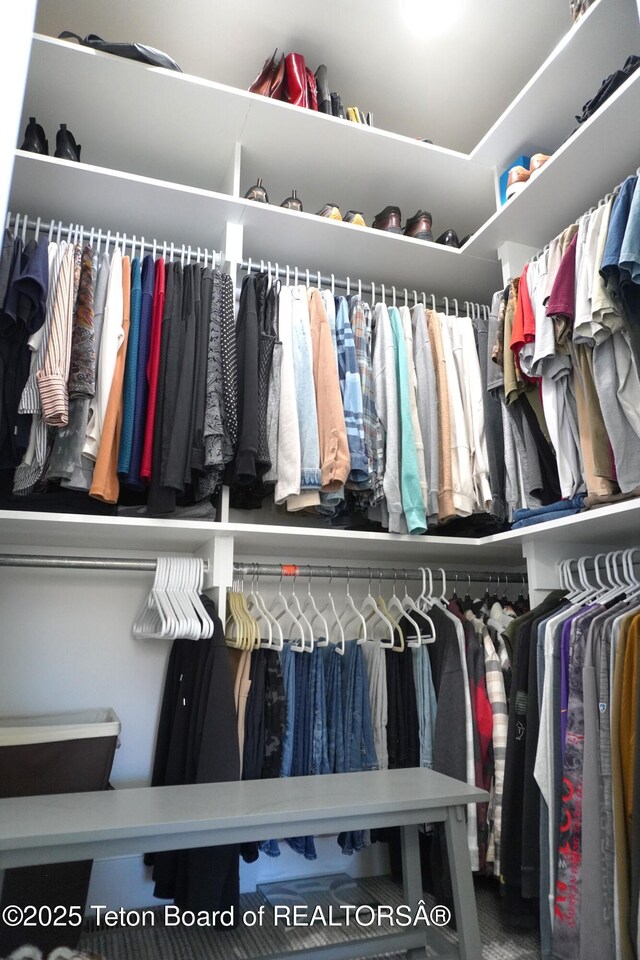 825 Mccoy Dr, Pinedale, WY 82941 - view of spacious closet