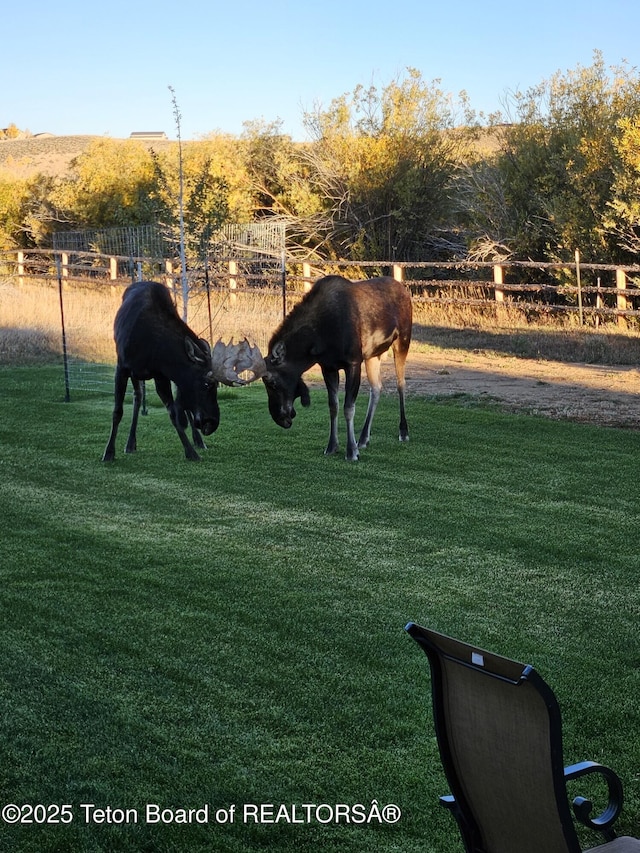 825 Mccoy Dr, Pinedale, WY 82941 - view of property's community with a lawn, fence, and a rural view