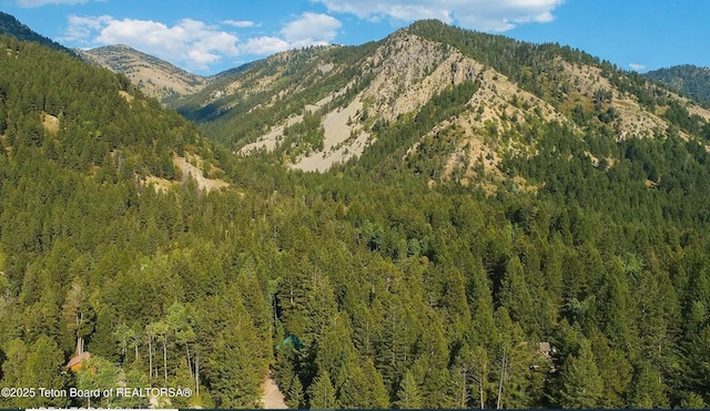 property view of mountains featuring a view of trees