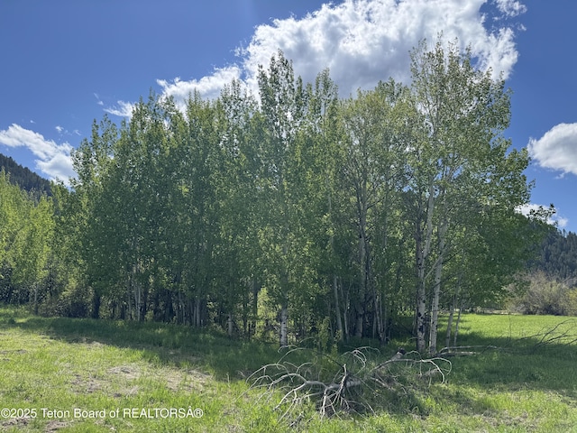 694 Salt River Ranch Ln, Thayne, WY 83127 - photo 13