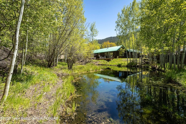 845 Cache Creek Dr, Jackson, WY 83001 - water view