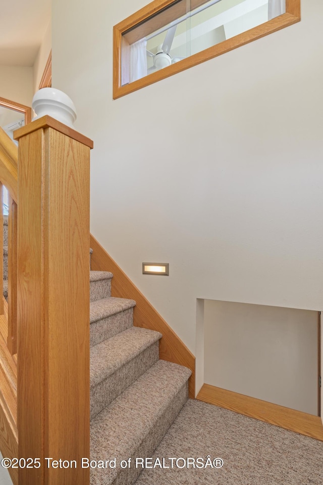 stairs with carpet