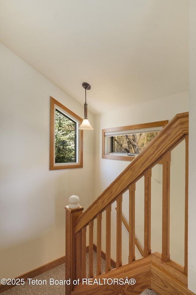 stairs with baseboards and carpet