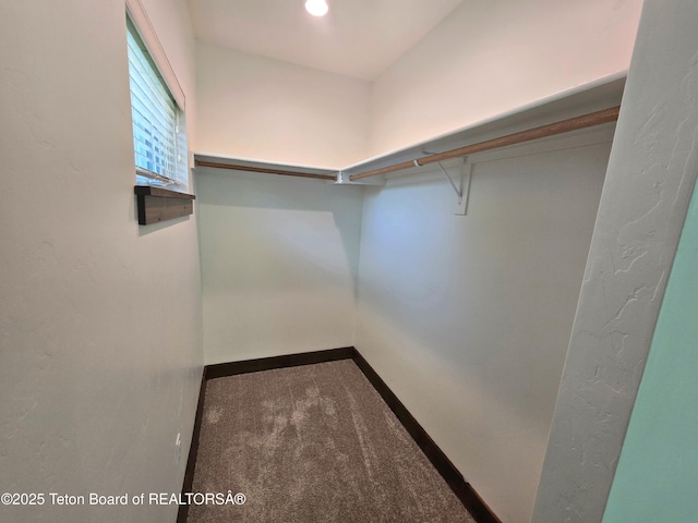 8531 Caribou Ct, Victor, ID 83455 - spacious closet featuring carpet floors