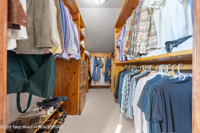 980 S 1000 E, Driggs, ID 83455 - walk in closet featuring carpet