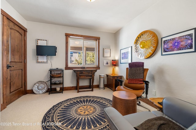 980 S 1000 E, Driggs, ID 83455 - living area with baseboards and carpet flooring
