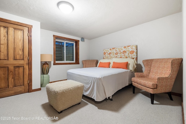 980 S 1000 E, Driggs, ID 83455 - carpeted bedroom with baseboards
