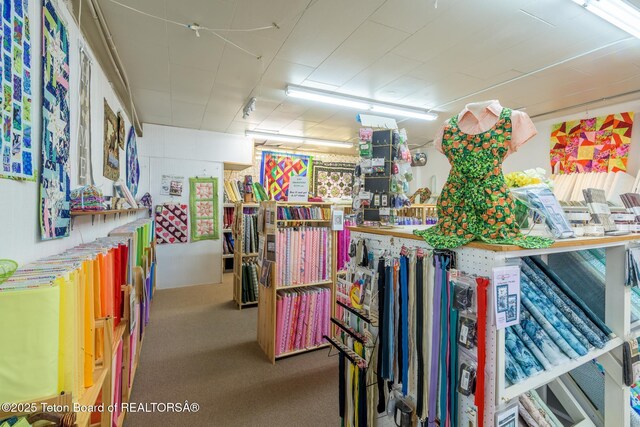 miscellaneous room featuring carpet floors