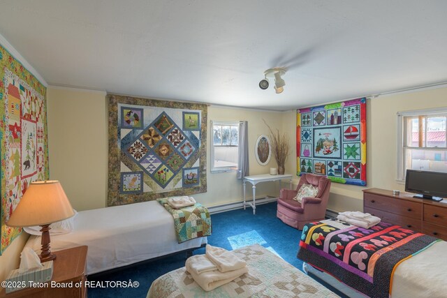 bedroom with carpet flooring and baseboard heating