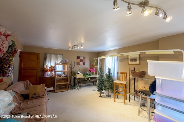 living area with rail lighting, carpet, and plenty of natural light