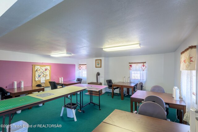 playroom featuring carpet floors and a textured ceiling