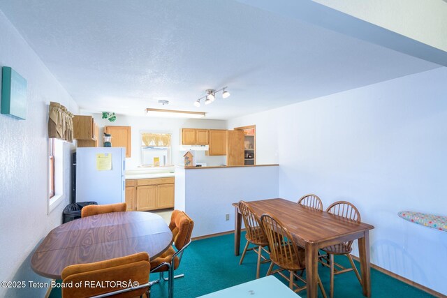 dining room with light colored carpet