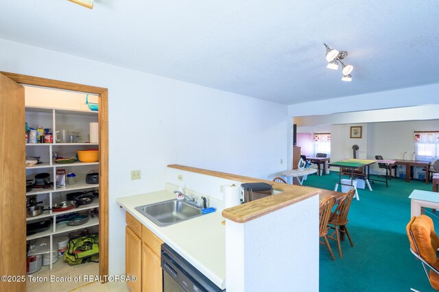 kitchen with dishwashing machine, light countertops, and a sink