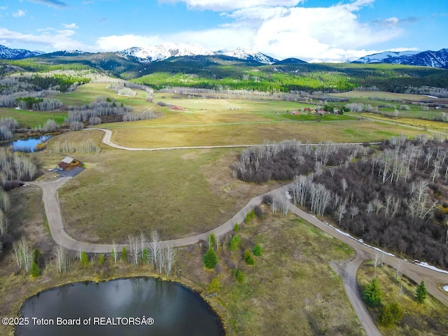 2780 N Black Sheep Farm Rd, Alta, WY 83414 - photo 35