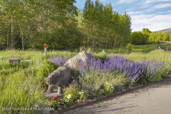 2780 N Black Sheep Farm Rd, Alta, WY 83414 - photo 10