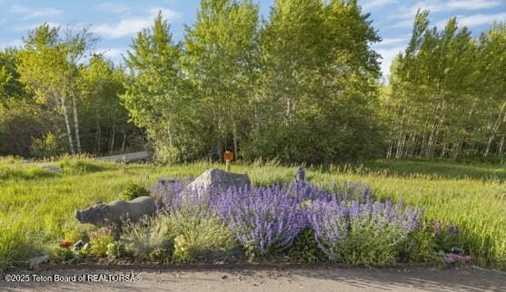 2780 N Black Sheep Farm Rd, Alta, WY 83414 - photo 36