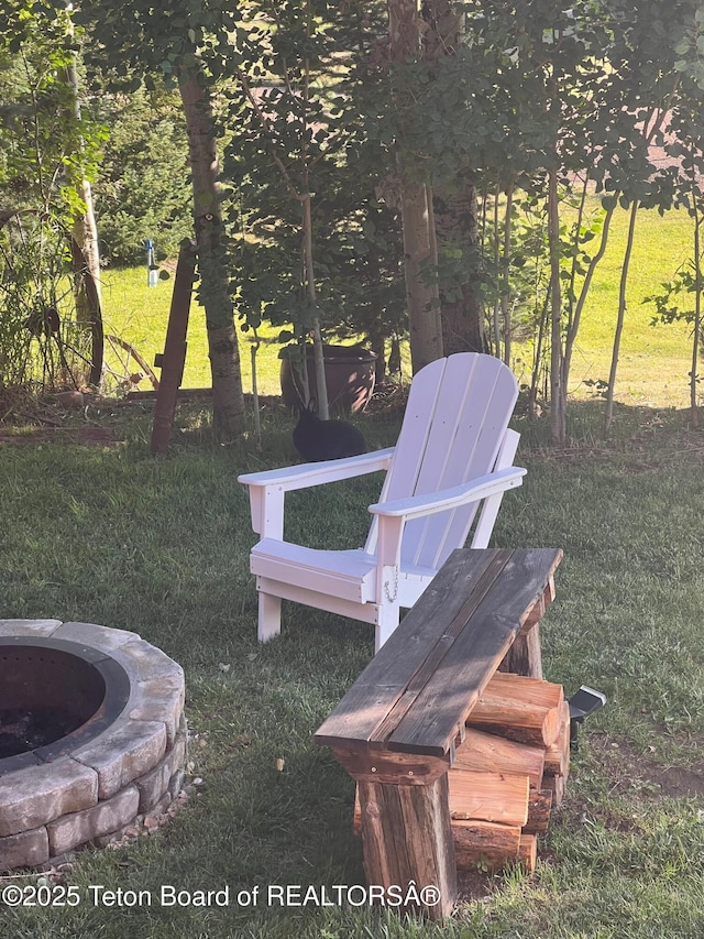 view of yard with an outdoor fire pit