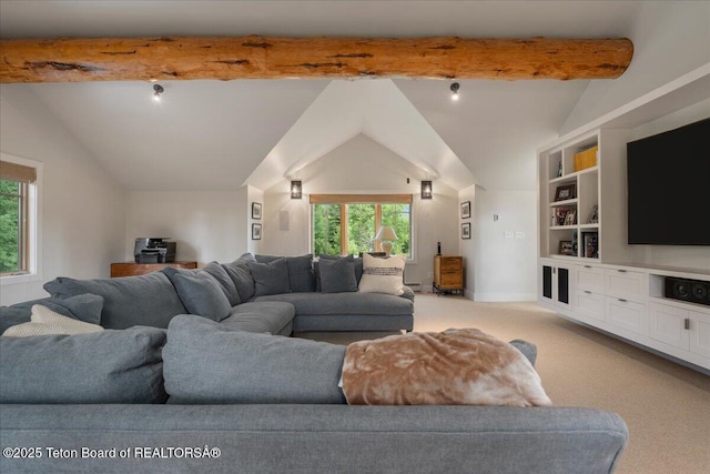 3300 N Trapper Ln, Wilson, WY 83014 - living room featuring plenty of natural light, carpet, and baseboard heating