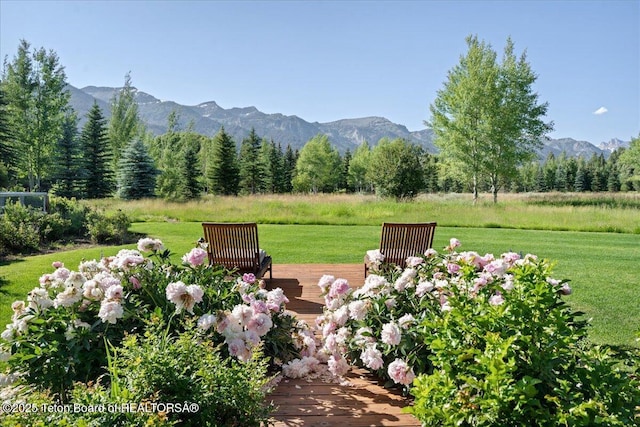 3300 N Trapper Ln, Wilson, WY 83014 - view of green lawn with a mountain view