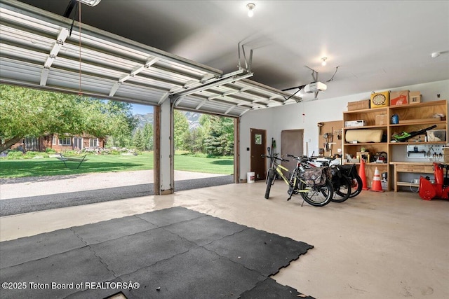 3300 N Trapper Ln, Wilson, WY 83014 - garage with a garage door opener