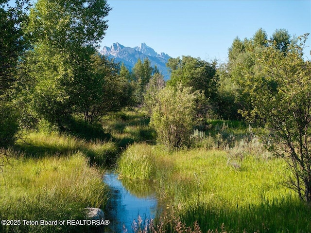 3300 N Trapper Ln, Wilson, WY 83014 - view of nature with a mountain backdrop