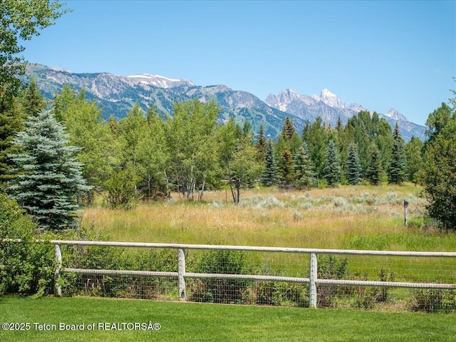 3300 N Trapper Ln, Wilson, WY 83014 - view of mountain background featuring a heavily wooded area