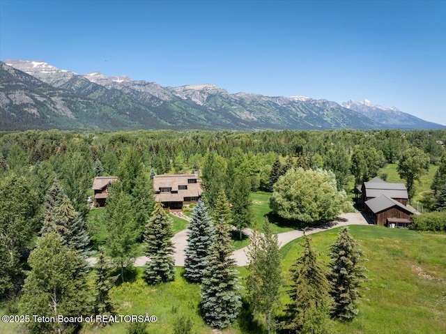3300 N Trapper Ln, Wilson, WY 83014 - view of mountain background featuring a forest
