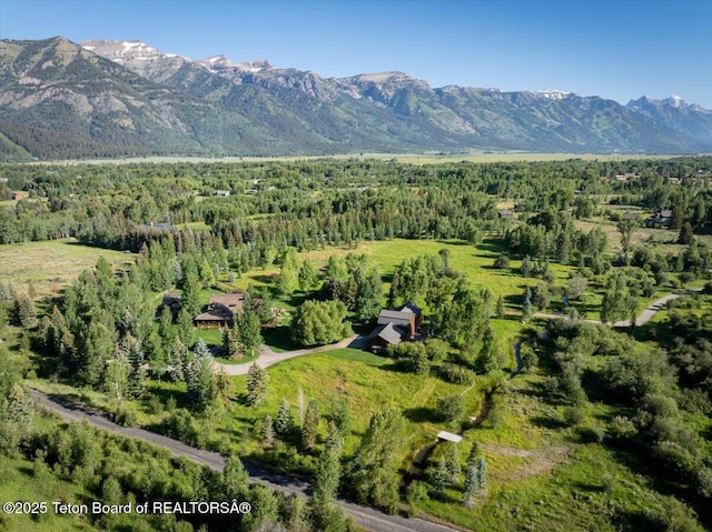3300 N Trapper Ln, Wilson, WY 83014 - view of mountain backdrop with a forest