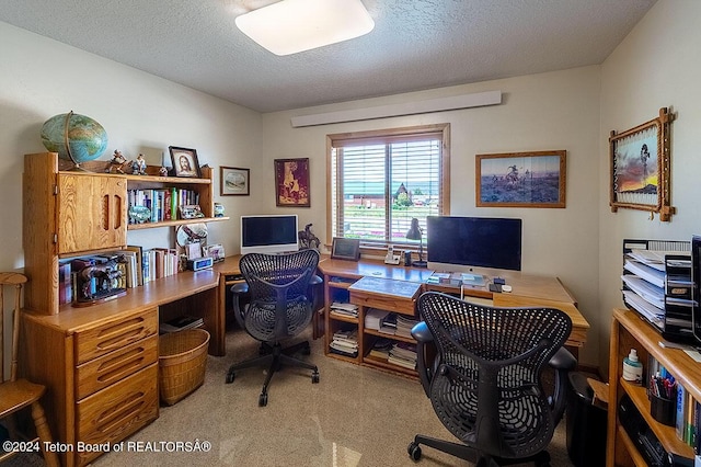 office area featuring a textured ceiling and carpet