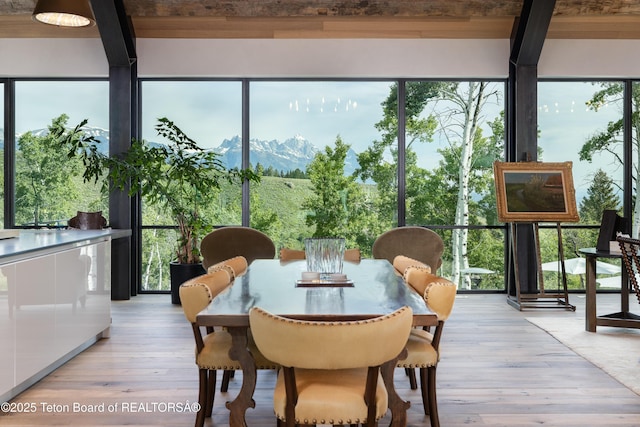 1165 W Bar Bc Ranch Rd, Jackson, WY 83001 - sunroom with a mountain view and beam ceiling
